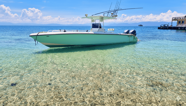 Boat photo for Offshore Fishing Trip