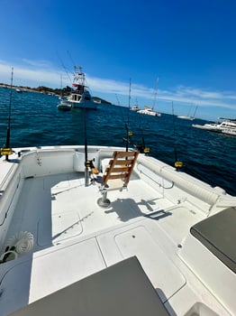 Boat photo for 5/7 Hrs Offshore Or Inshore Fishing