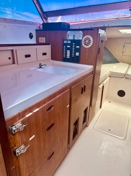 Boat photo for 5/7 Hrs Offshore Or Inshore Fishing