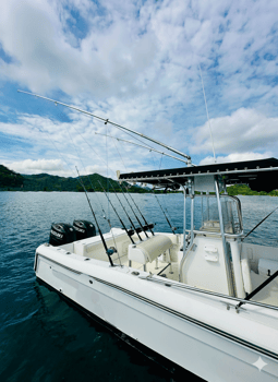 Boat photo for 4/6/8 Hrs Inshore Private Charter 