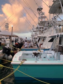 Boat photo for Key West Mixed Bag Trip