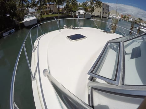 Boat photo for Snorkeling And Sport Fishing