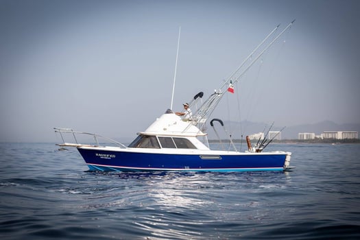 Boat photo for Big Game Fishing La Cruz 