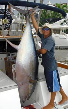 Boat photo for Big Game Fishing La Cruz 