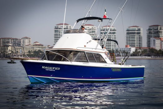 Boat photo for Big Game Fishing La Cruz 