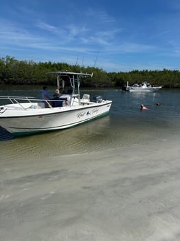 Boat photo for Nearshore Bottom Fishing/trolling