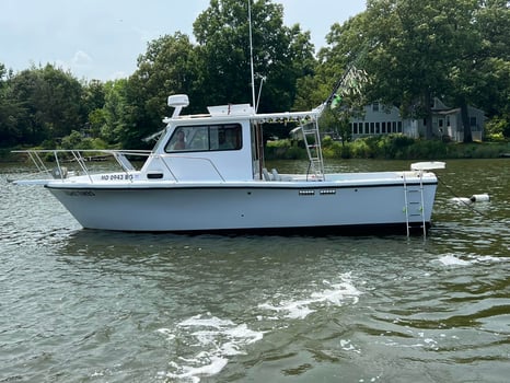 Boat photo for 6 Hour Inshore Trip