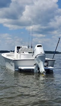 Boat photo for Half Day Light Tackle 