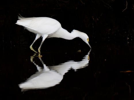 Lodge photo for 2 PER ROOM 2 PER BOAT