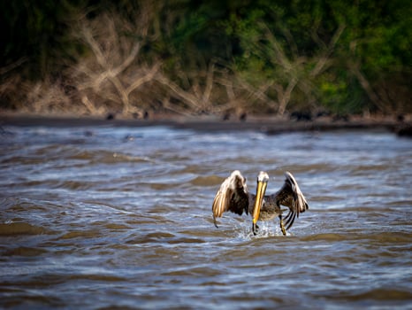Lodge photo for 2 PER ROOM 2 PER BOAT