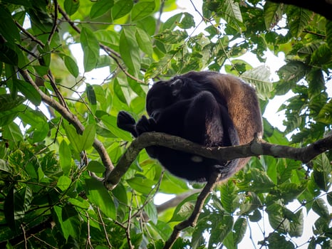 Lodge photo for 2 PER ROOM 2 PER BOAT