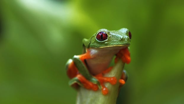 Lodge photo for 2 PER ROOM 2 PER BOAT
