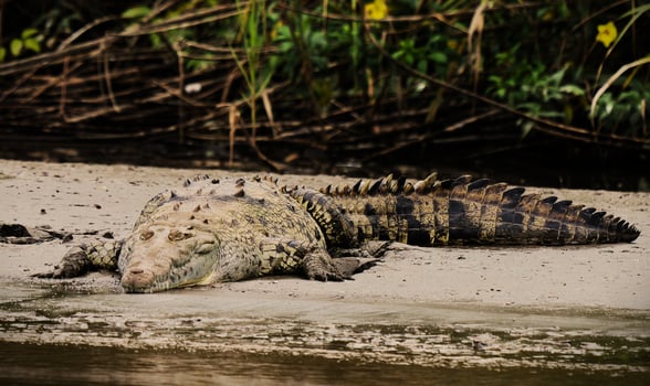 Lodge photo for 2 PER ROOM 2 PER BOAT
