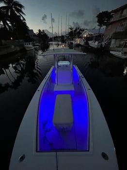 Boat photo for Power Boat Race