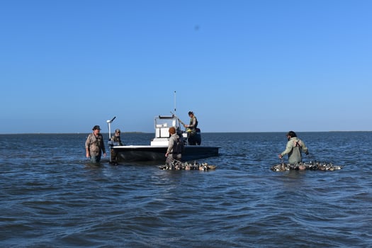 Boat photo for  TX Marsh And Bay Duck Hunts!