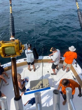 Boat photo for 6-18 HR Bottom Fishing & Trolling 