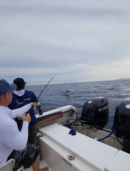 Boat photo for 12 Hours Deep Sea Fishing 