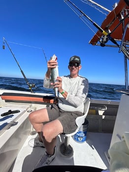 Boat photo for 12 Hours Deep Sea Fishing 