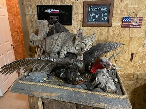 Lodge photo for Big Game Exotics