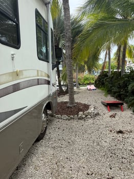 Lodge photo for Iguana Hunt 