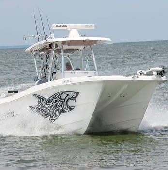 Boat photo for 6-10 Hour Trip – Offshore