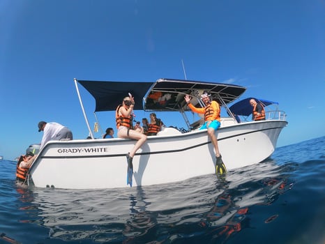 Boat photo for Private Whale Shark Tour