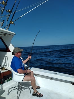 Boat photo for Punta Mita Fishing 38  Sportfisher 