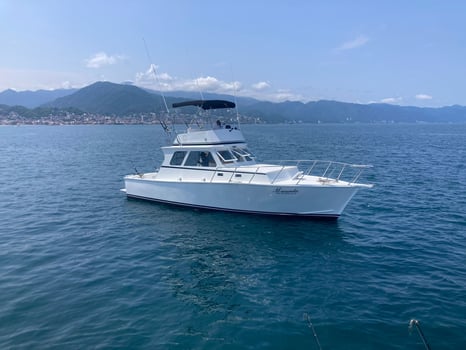 Boat photo for Punta Mita Fishing 38  Sportfisher 