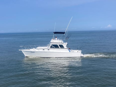 Boat photo for Punta Mita Fishing 38  Sportfisher 