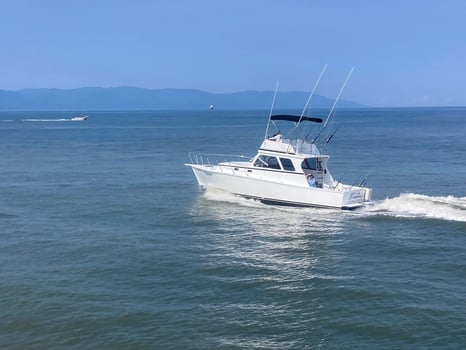 Boat photo for Punta Mita Fishing 38  Sportfisher 