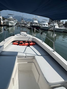 Boat photo for 4 Hrs Fishing Puerto Vallarta 