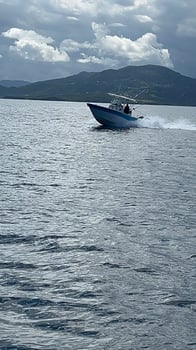 Boat photo for 4 Hour Trip AM Or PM