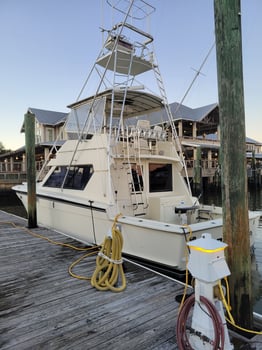 Boat photo for Half Day Deep Sea