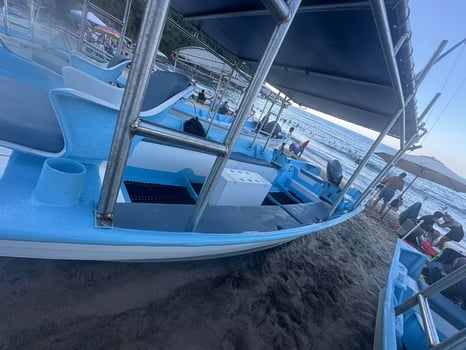 Boat photo for Whale Watching 🐳