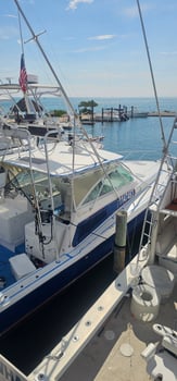 Boat photo for Shark / Great Barracuda 