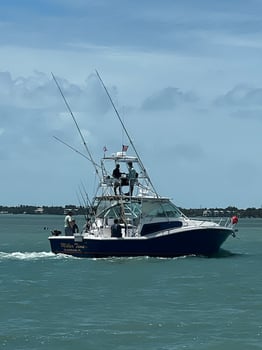 Boat photo for Shark / Great Barracuda 