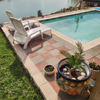 Lodge photo for SANDHILL CRANE