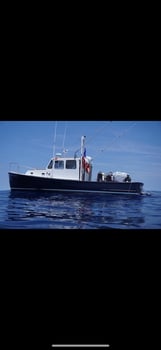 Boat photo for Half Day Nearshore Fishing (4hrs)