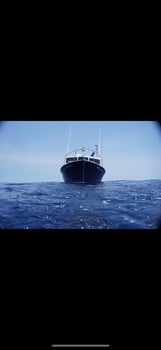 Boat photo for Half Day Nearshore Fishing (4hrs)