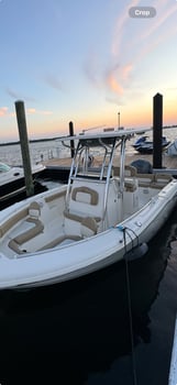 Boat photo for Dolphin Tour