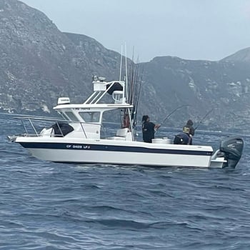 Boat photo for Epic Offshore San Diego