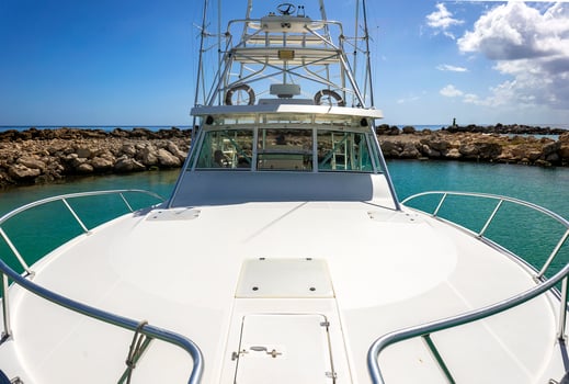 Boat photo for Fishing Charter, Puerto Aventuras