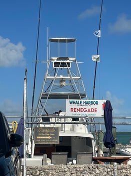 Boat photo for 4 Hour Half Day