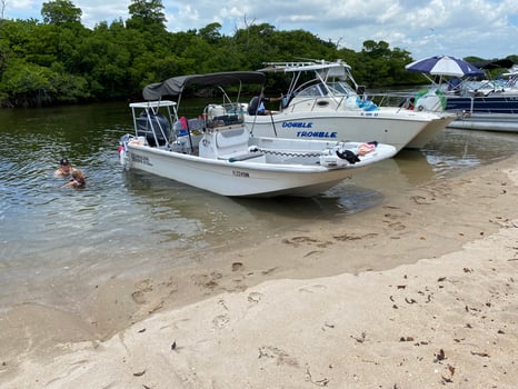 Boat photo for Xmas Light Trip