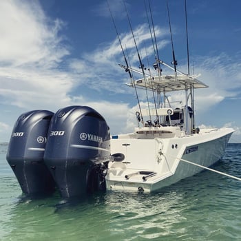 Boat photo for Offshore Fishing Trip