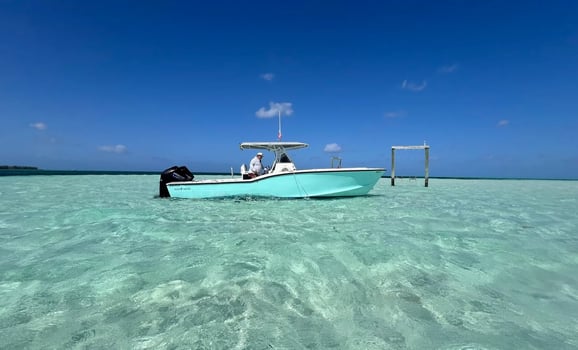 Boat photo for Swimming Pigs Adventure