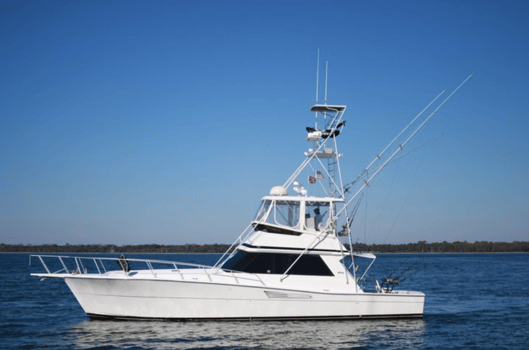 Boat photo for Live Action Offshore - 48’ Viking