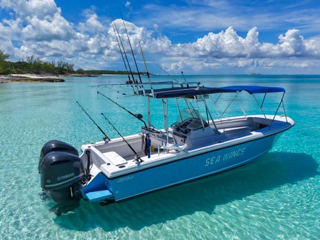 Boat photo for Private Charter - 29' Intrepid