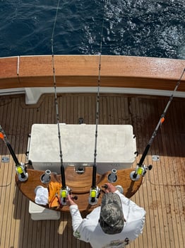Boat photo for Palm Beach Offshore - 55' Viking