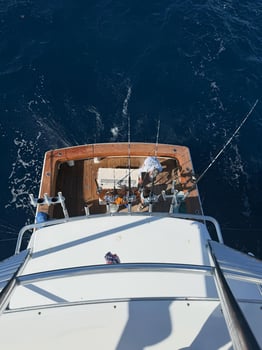 Boat photo for Palm Beach Offshore - 55' Viking